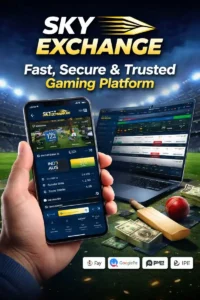 Sky Exchange: A Reliable Platform for Smart & Transparent Online Gaming